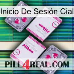 Inicio De Sesión Cial 33